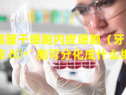 牙周膜干细胞内皮细胞（牙周膜干细 🪴 胞可分化成什么细胞）